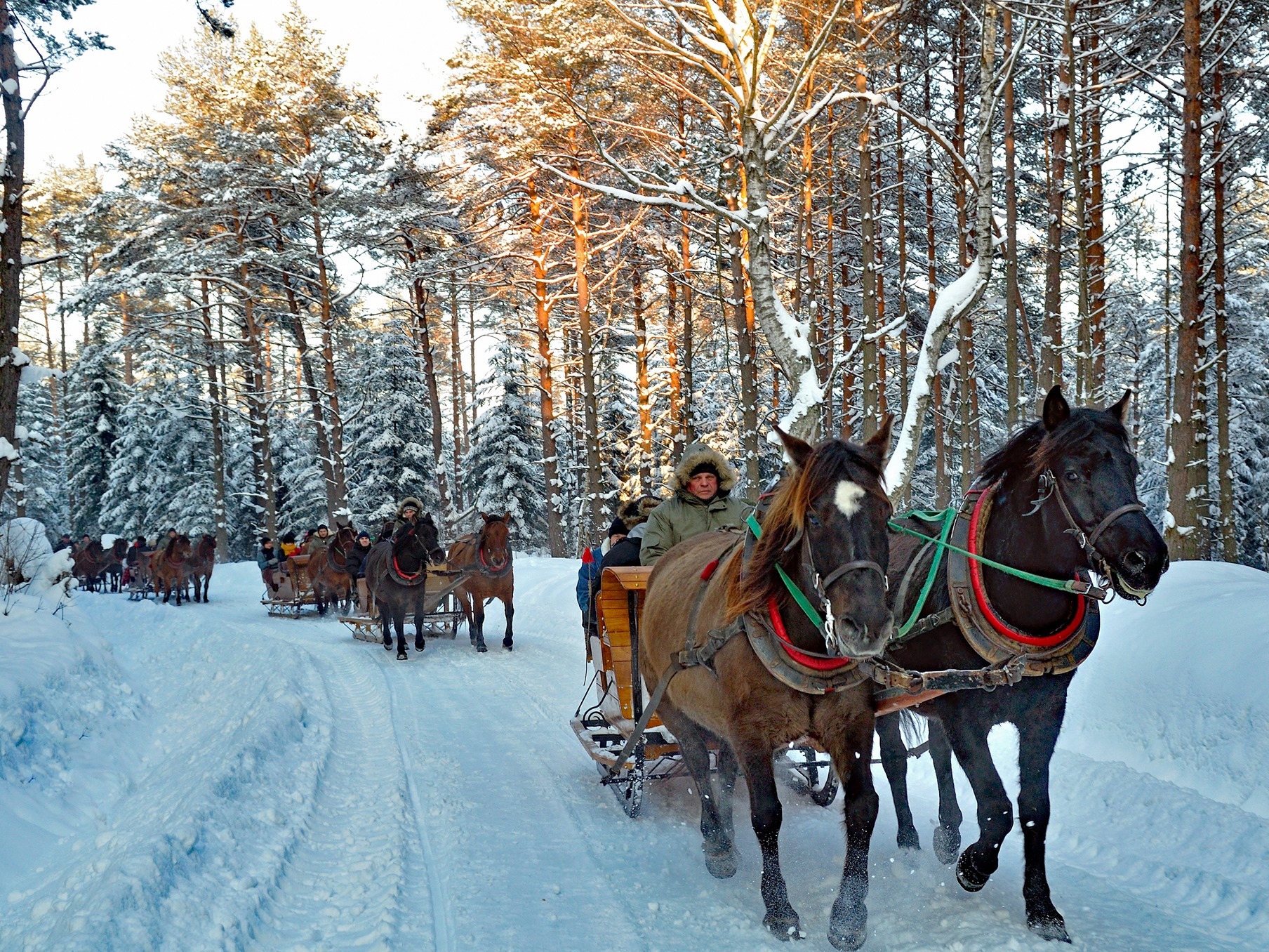 Czarny Potok Resort SPA  Conference outdoor kulig