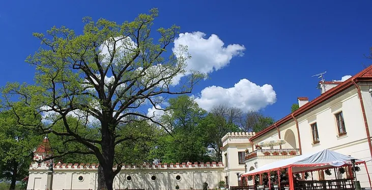 Zorganizuj niezwykłe konferencje na Zamku Dubiecko