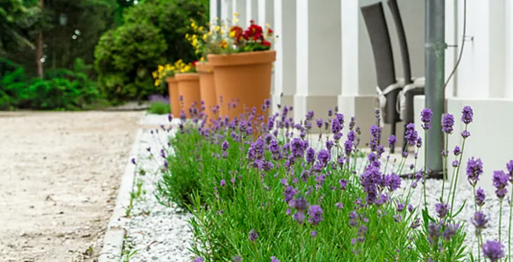 Kameralny pałac na Mazowszu doskonały na konferencje i szkolenia
