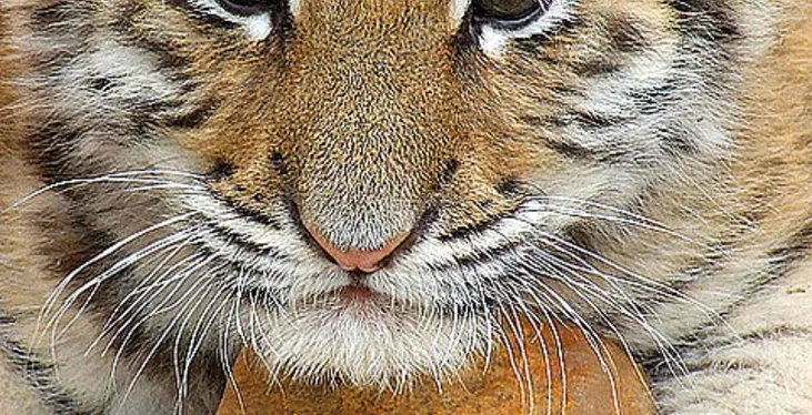 Afryka po mistrzostwach – hotele odnotowują wzrost obłożenia