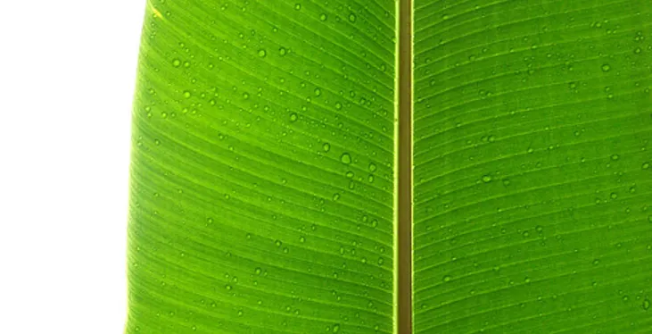 Ekologiczny hotel otwarty zostanie w czerwcu w Poznaniu