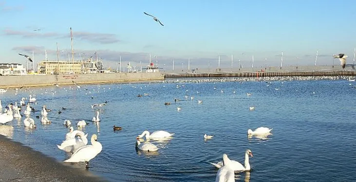 Ponad 850 miejsc hotelowych na 85. urodziny Gdyni