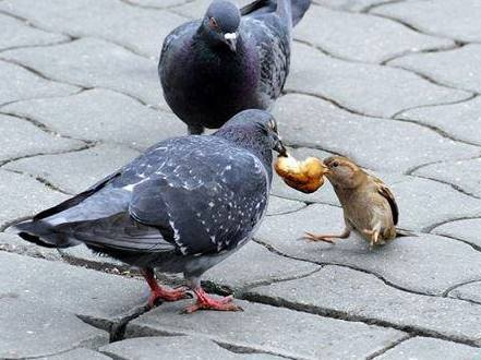 Wydłużanie terminów płatności podcina skrzydła małym i średnim firmom branży eventowej