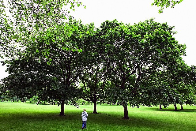 Fundacja Aeris Futuro promuje zielone eventy