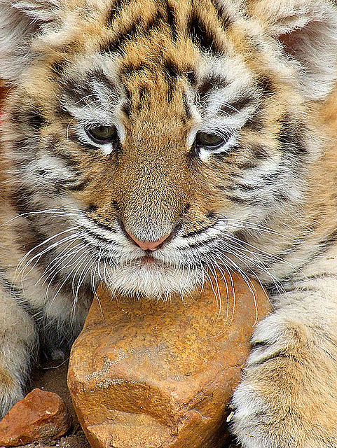 Afryka po mistrzostwach – hotele odnotowują wzrost obłożenia