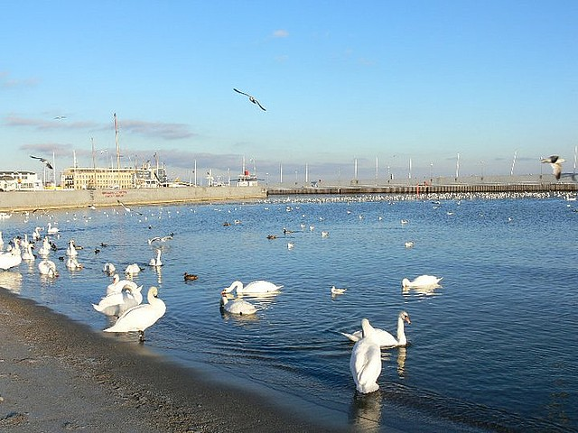 Ponad 850 miejsc hotelowych na 85. urodziny Gdyni