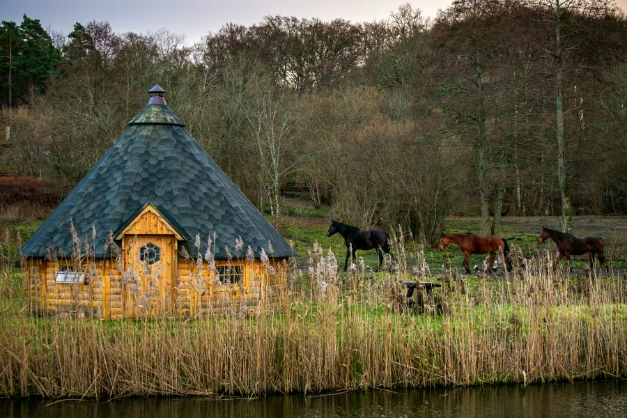 Konferencja nad morzem, a może team building wśród zieleni? Sprawdź możliwości Rancha Ulinia!