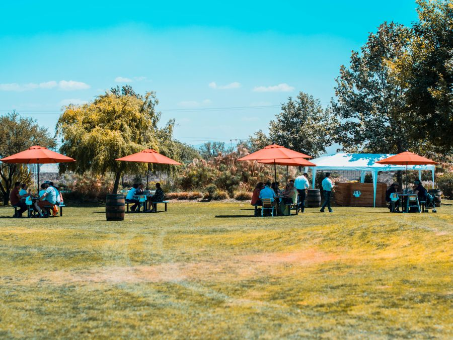 Dozwolone imprezy plenerowe i wesela do 150 osób! Rusza 4. faza odmrażania gospodarki