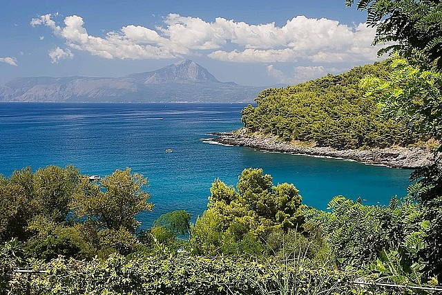 Zielony znaczy ekologiczny