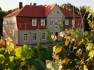 Olandia wkrótce udostępni gościom kolejne pokoje