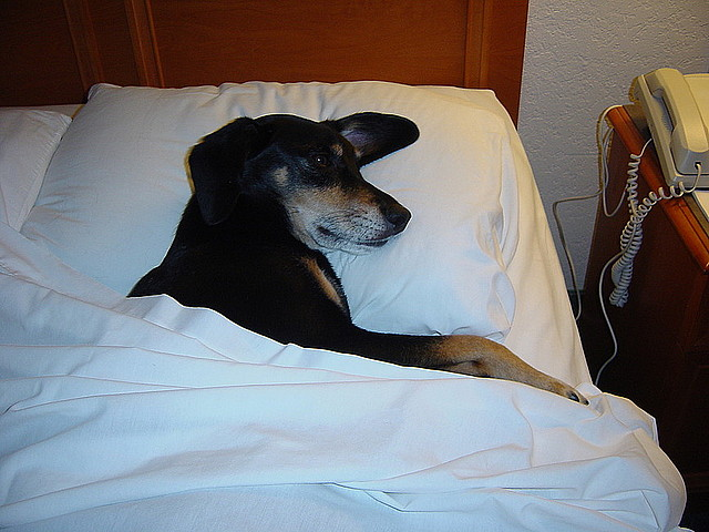 Hotele na celowniku organizatorów