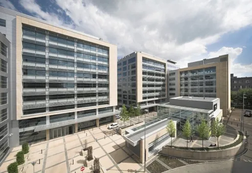 Brain Embassy Postępu 15