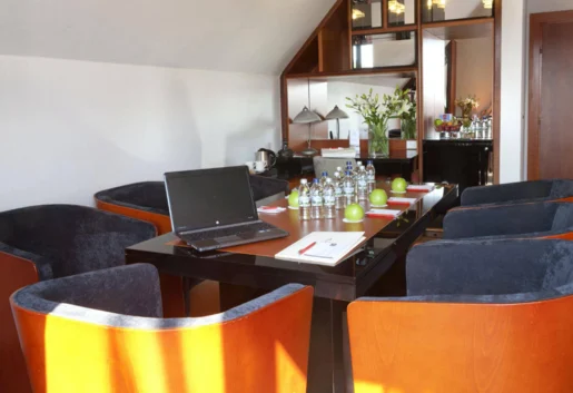 apartament biznesowy VIP Room