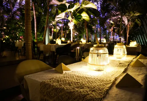 Kolacja pod palmami 1