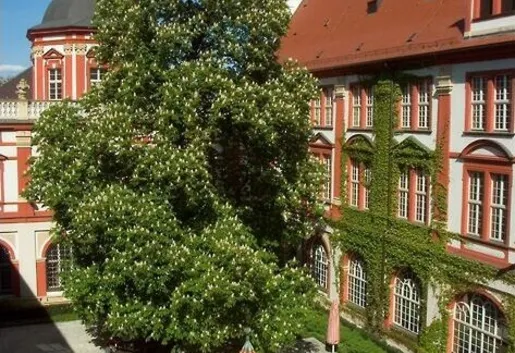 Zakład Narodowy im. Ossolińskich