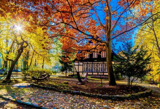 Smolarnia Hotel & Restaurant