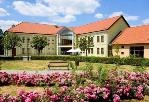 Solne Miasto - Mediateka