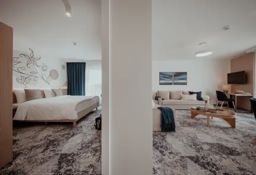 Apartament DELUXE z aneksem kuchennym, osobną sypialnią DOUBLE