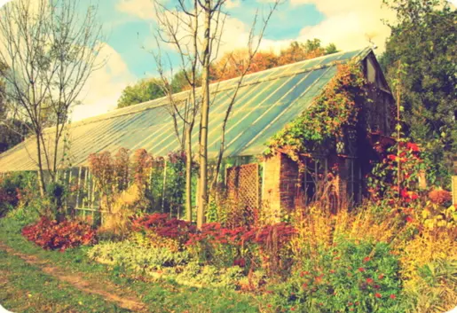 Stara Oranżeria Lesznowola