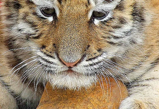 Afryka po mistrzostwach – hotele odnotowują wzrost obłożenia