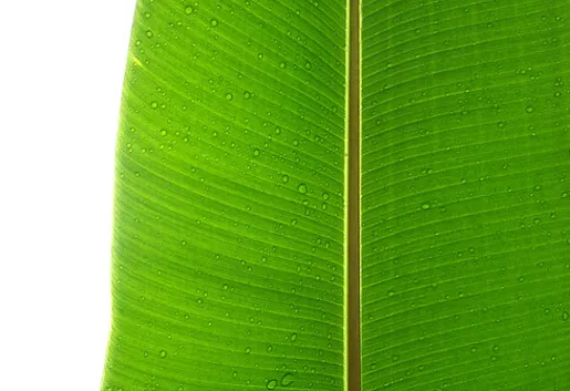 Ekologiczny hotel otwarty zostanie w czerwcu w Poznaniu