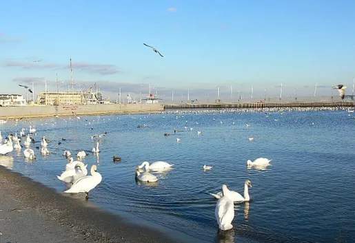 Ponad 850 miejsc hotelowych na 85. urodziny Gdyni