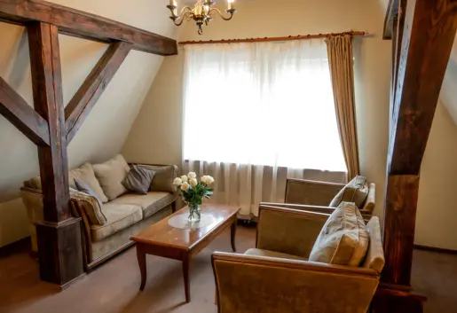 Pokój dwuosobowy Puszcza