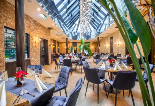 Kaktusy Koncept Kulinarny