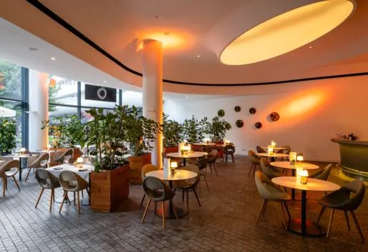 OVO Bar&Restaurant