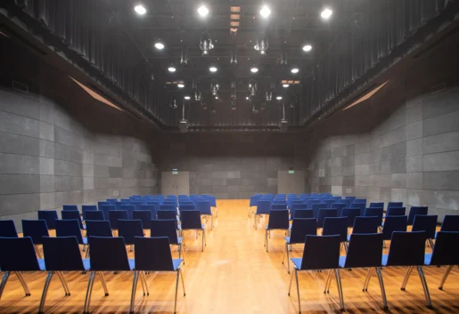 Sala Czarna – układ konferencyjny