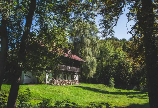 Rózin Pstrągarnia