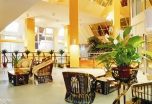 Kawiarnia i Herbaciarnia Nefretete