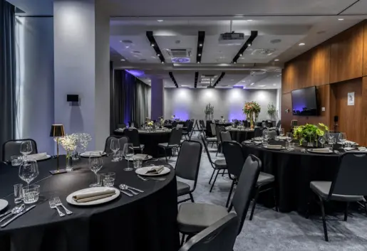 Sala Karbon+Grafit+Antracyt