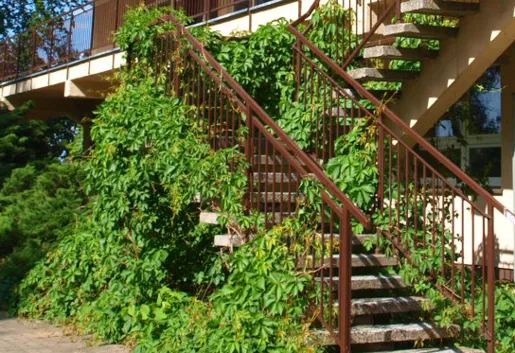 Ośrodek Szkoleniowy Instytutu Rozwoju Słuzb Społecznych - OBIEKT ZAMKNIĘTY (zamknięty na stałe)