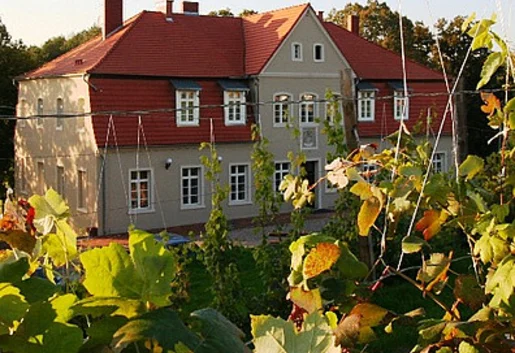 Olandia wkrótce udostępni gościom kolejne pokoje