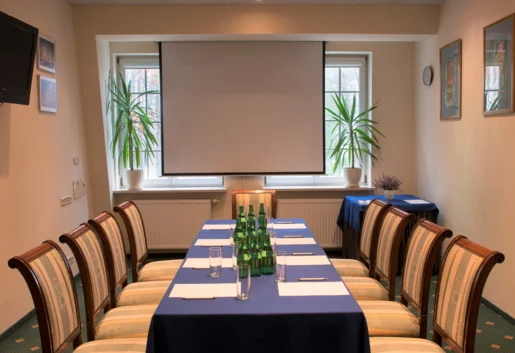 VIP Room 1