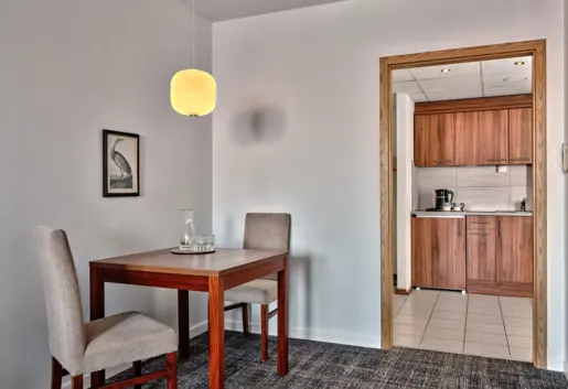 Apartament Business