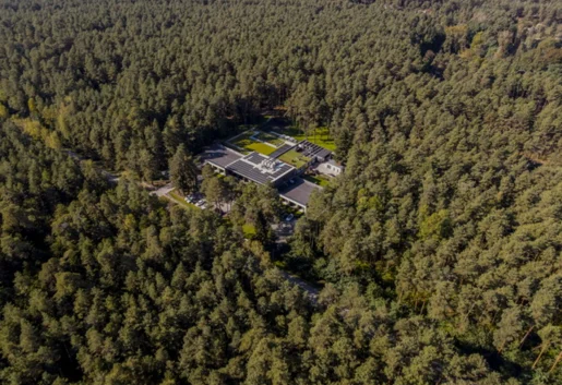 Hotel w środku lasu