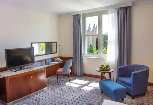 Apartament typu Junior Suite z widokiem na park