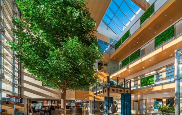 New Work - Tulipan Mokotów - zdjęcie 4