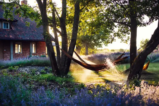 Kwietne Łąki Ruciane-Nida