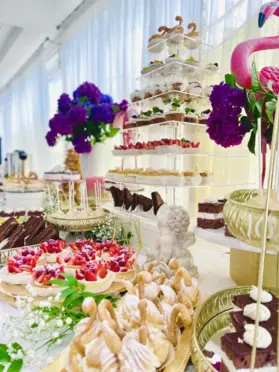 Hotel Wiktoria Wiązowna - zdjęcie 8