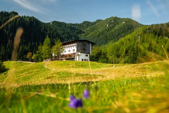 Hotel Górski Kalatówki - photo 8