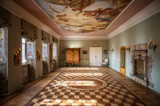 Hotel Pałac Pakoszów - photo 1