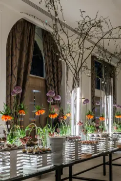 Ludwikowska Lounge Marble