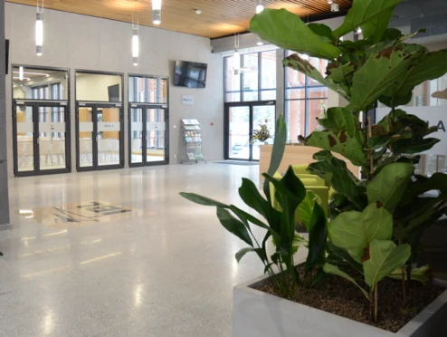 Instytut Badawczy Leśnictwa - zdjęcie 2