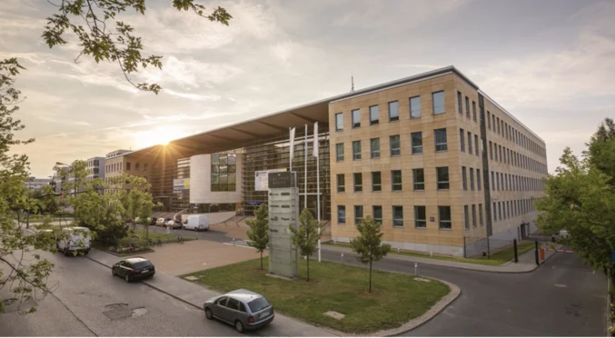 New Work - Tulipan Mokotów - zdjęcie 2