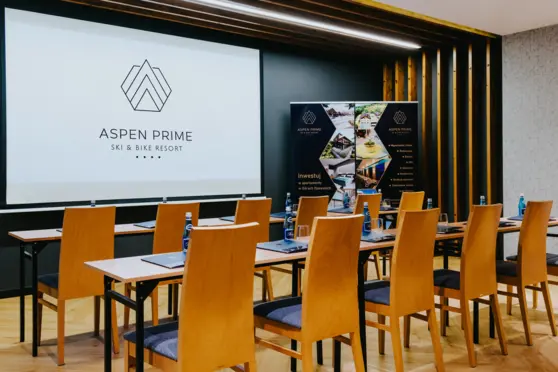 Sala konferencyjna : Szara" do 60 osób w układzie kinowym