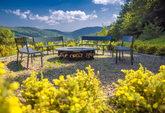 Miodowa Klinika palenisko