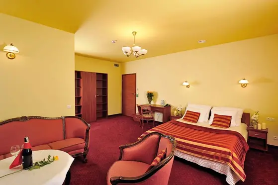 Hotel Na Błoniach - zdjęcie 8